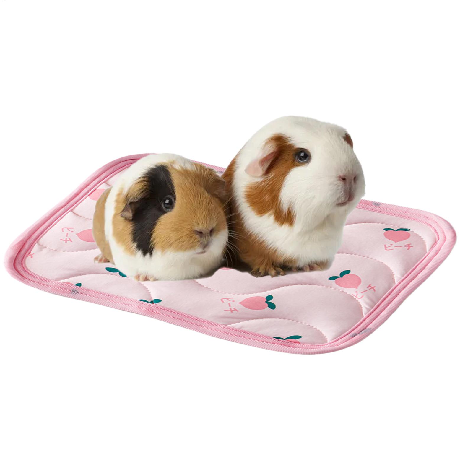 Pet Cooling Mat Washable Small - Outdoor Camping Dog Kennel 评论和价格