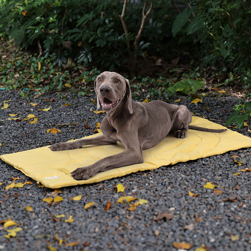 Portable Pet Mat Foldable Pet  - Outdoor Camping Dog Kennel 评论和价格