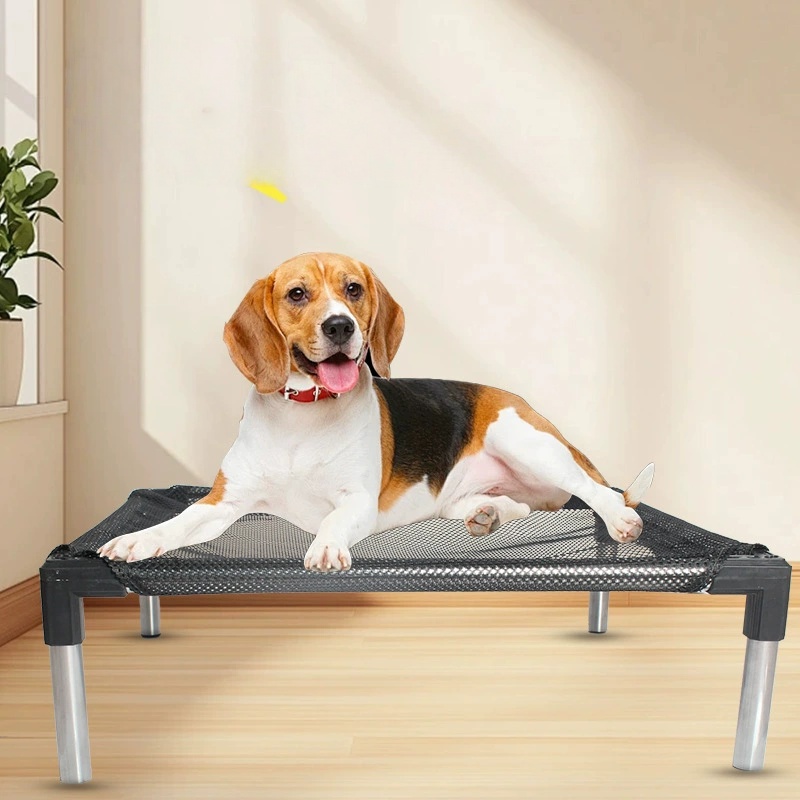Cooling Elevated Dog Bed - Rai - Outdoor Camping Couch 评论和价格