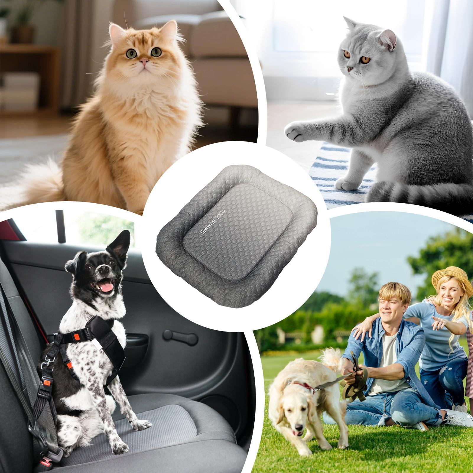 Dog Cooling Mat Portable Non-S - Outdoor Camping Dog Kennel 评论和价格