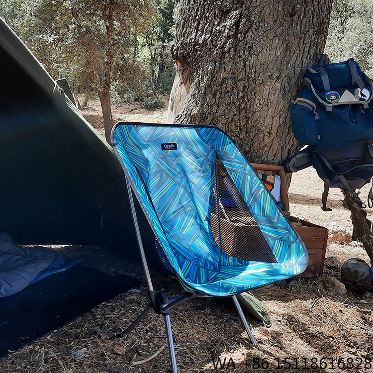 Portable Folding Camping Chair - Outdoor Camping Recliner 评论和价格