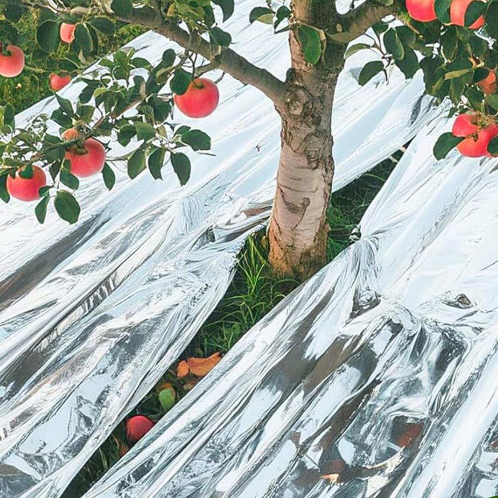 Emergency Thermal Blanket Upgr - Emergency Mylar Blanket 评论和价格
