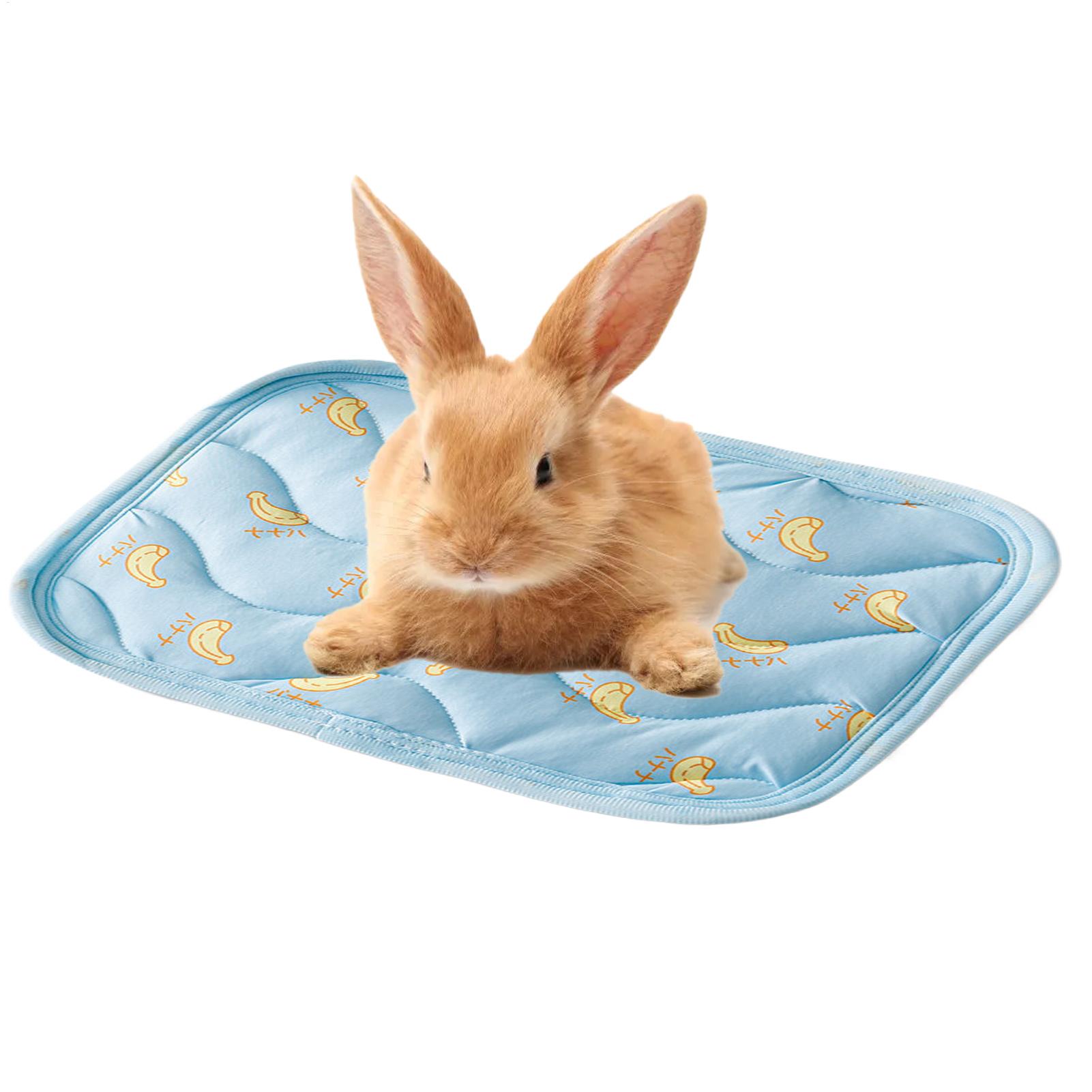 Portable Durable Pet Cooling M - Outdoor Camping Dog Kennel 评论和价格