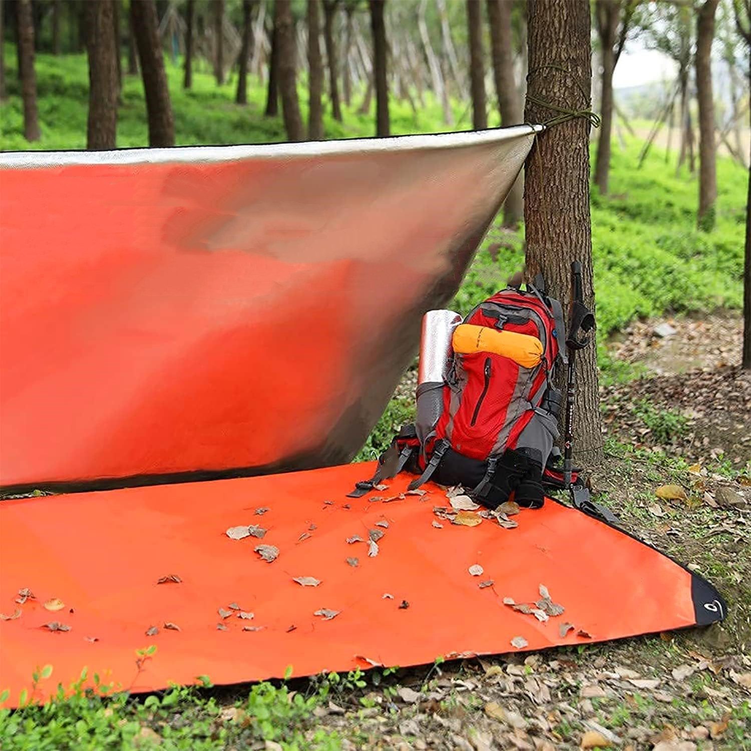Heavy Duty Survival Blanket –  - Emergency Mylar Blanket 评论和价格